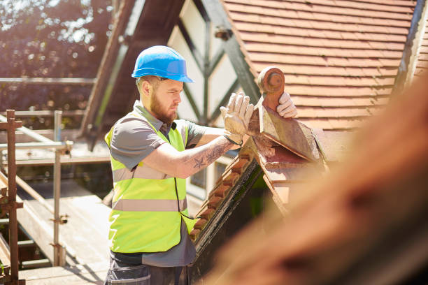 Roof Gutter Cleaning in Jasper, FL