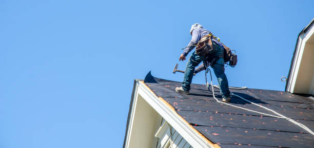 Best Roof Gutter Cleaning  in Jasper, FL